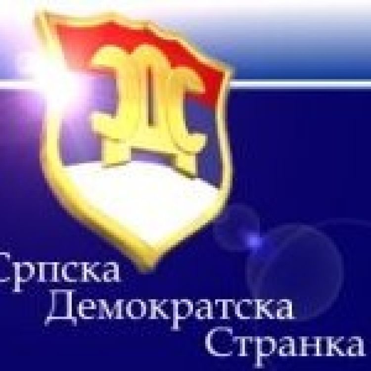 Sankcije u SDS-u zbog loših izbornih rezultata