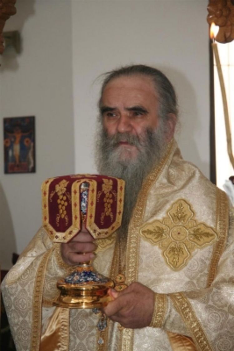Episkopi traže zaštitu Mitropolije u Crnoj Gori