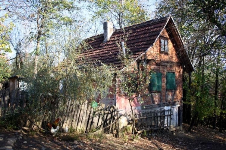 Raskomadale ga sjekirom