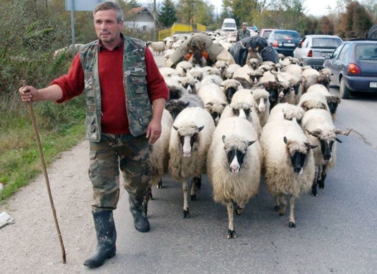 Nomade niko ne kontroliše