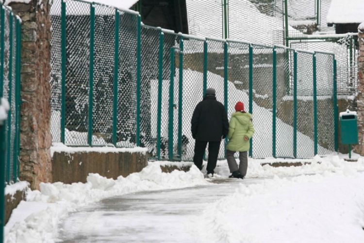 Uglavnom stalni posjetioci