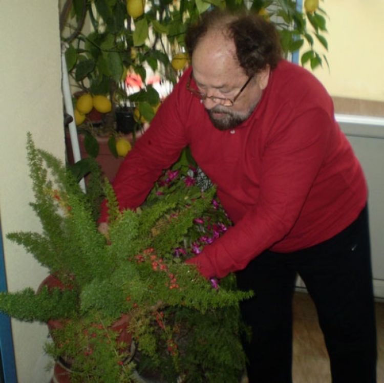 Tropsko čudo 