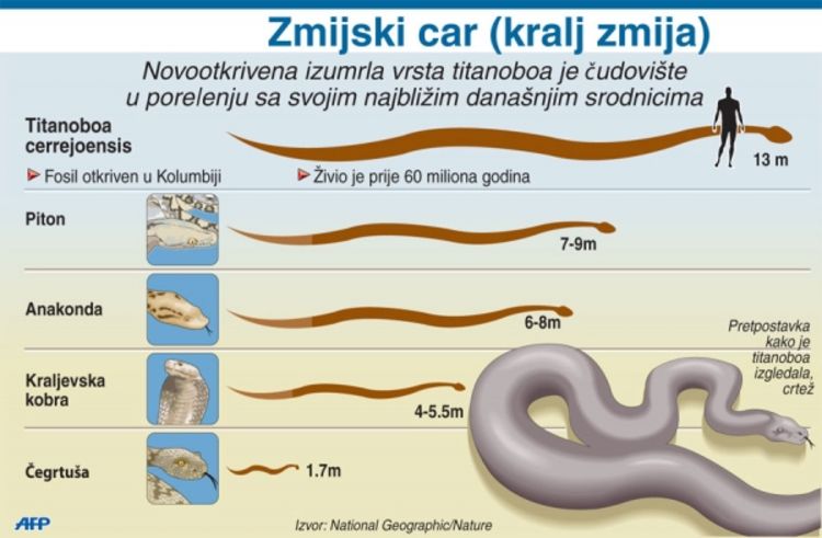 Pronađeni ostaci zmije džina