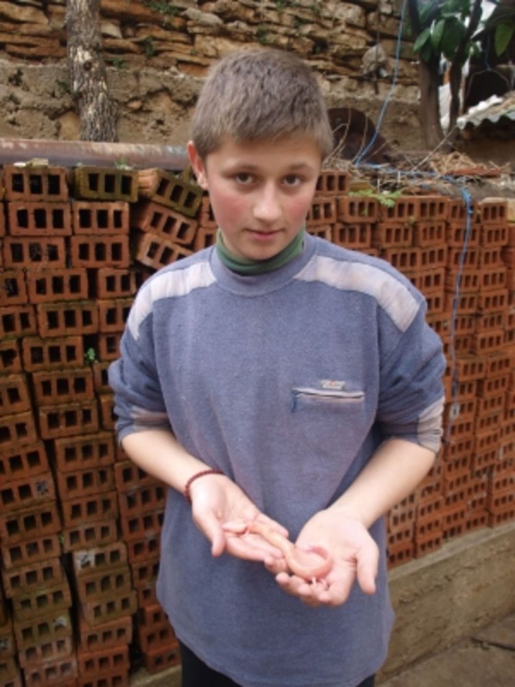 Dječak pronašao čovječju ribicu