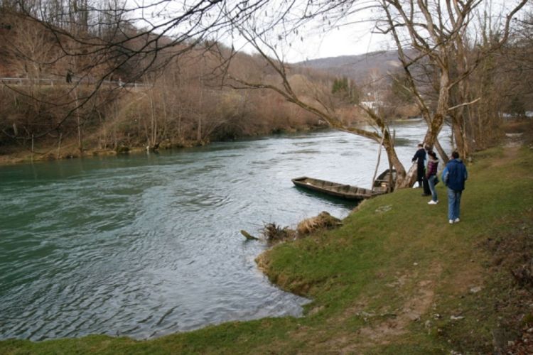 Kritični donji tokovi Vrbasa, Drine i Bosne