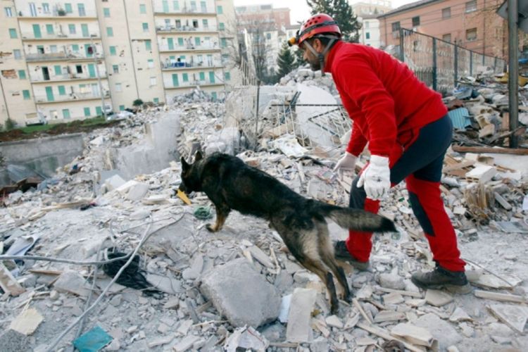 Broj žrtava potresa dostigao 260