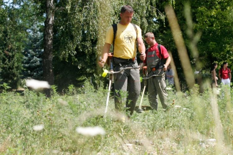 Drastičan porast broja ljudi s alergijom