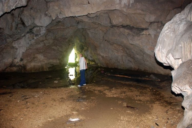 Dom jedne od najvećih kolonija šišmiša