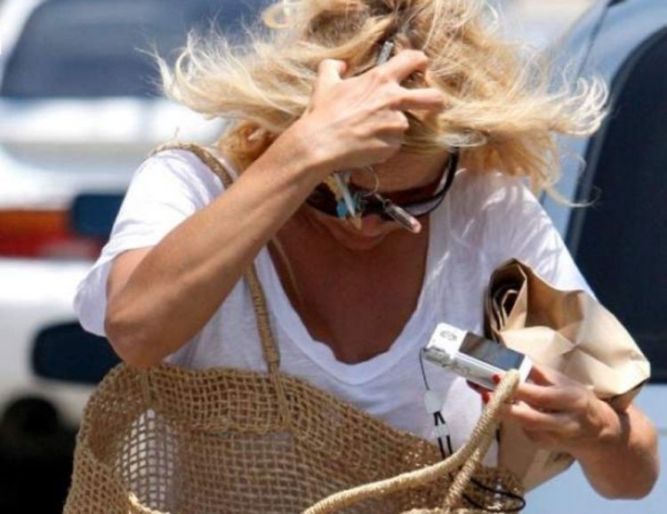 Pamela Anderson ni kosu ne pere