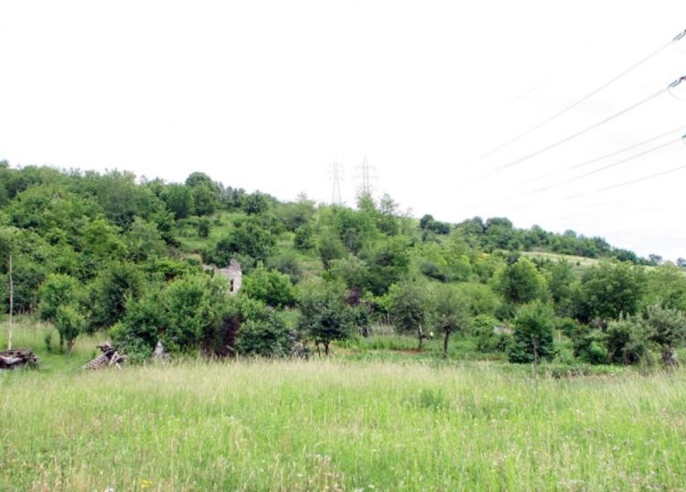 Supruga osumnjičena za ubistvo