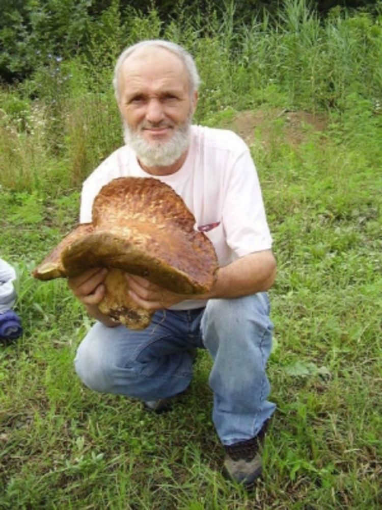 Pronašao džinovski vrganj