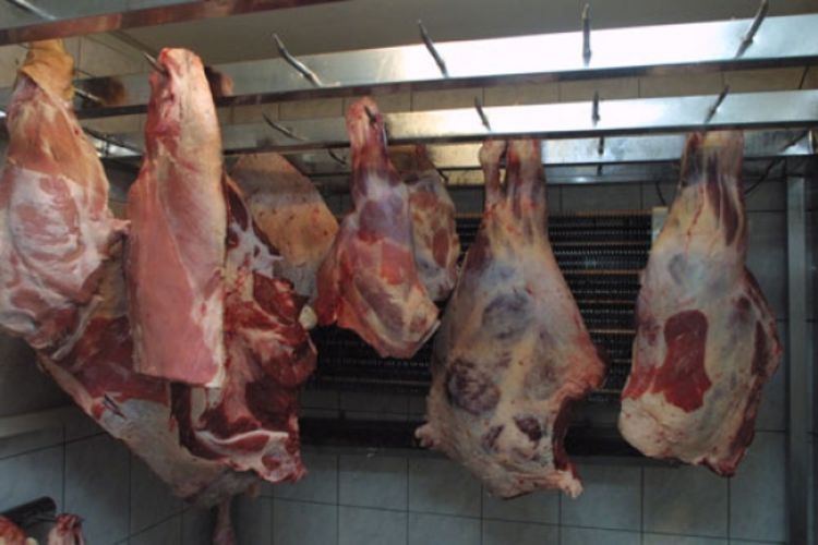 Farmeri u BiH traže zabranu uvoza svinjetine