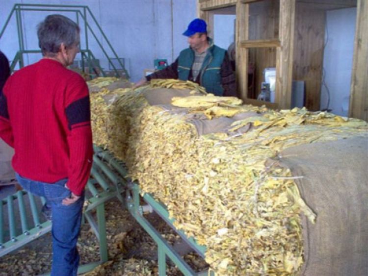 Posljednja šansa za duvansku industriju