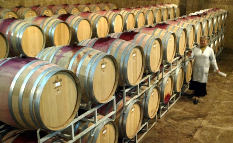 Kriza guta male vinarije