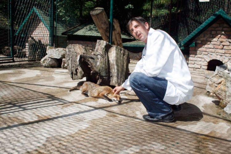 Uživa u druženju s divljim životinjama