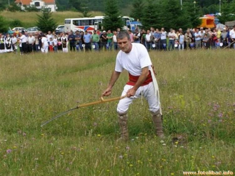 Kosac okićen medaljama 