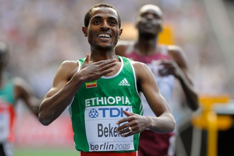 Bekele za istoriju