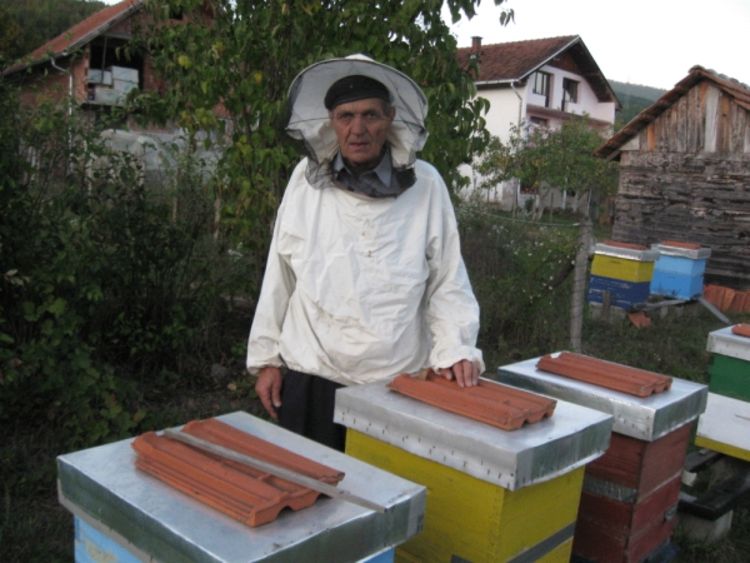 Ljubav prema pčelama jača od alergije