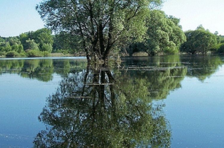 Srbija i Hrvatska zajedno štite Dunav
