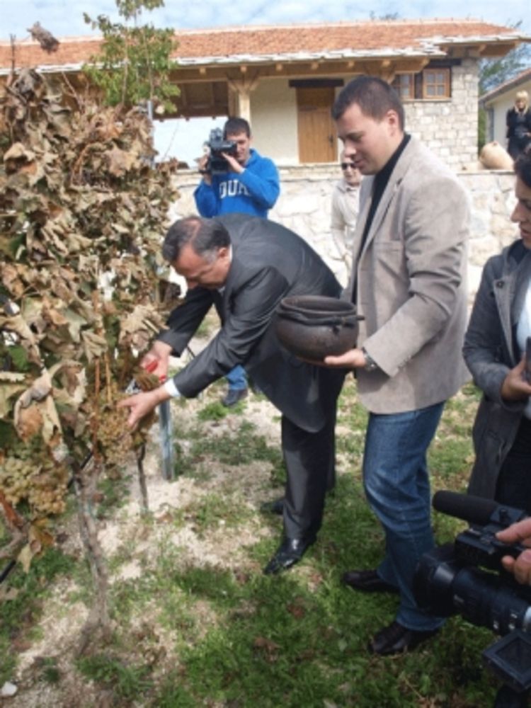 Početak berbe i točenja carskog vina
