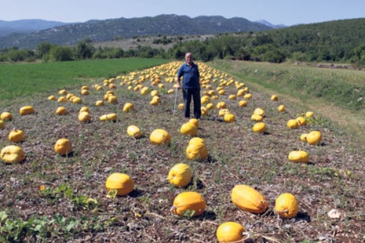 Obrađuje zemlju u devetoj deceniji života