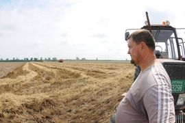 Ništa od premija za 29.000 tona pšenice