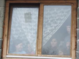 Bačeni fetus oštetile životinje