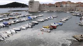 Dubrovnikom se širi nesnosan smrad