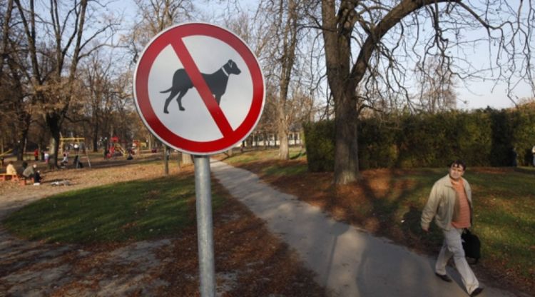 Nastavak hajke na pse