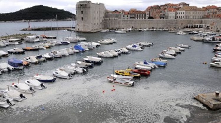 Dubrovnikom se širi nesnosan smrad
