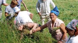 Oko 85 odsto žena na selu nema imovinu