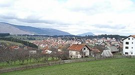 Dva samoubistva u Kneževu