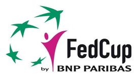 Moguće odgađanje Fed kupa