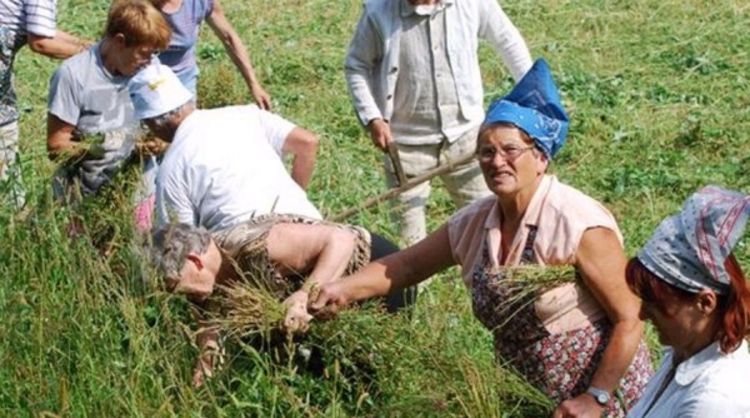 Oko 85 odsto žena na selu nema imovinu