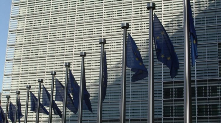 Ambasadori sami rade u tri DKP-a