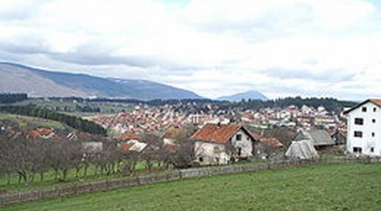 Dva samoubistva u Kneževu