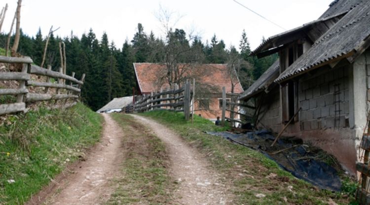 Majka i sin se objesili 