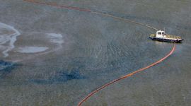 Britiš petroleum treba da plati štetu