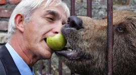 Kapetan Dragan kampuje u šumi