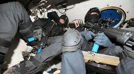 Šarićevi puleni pohvatani u Sloveniji
