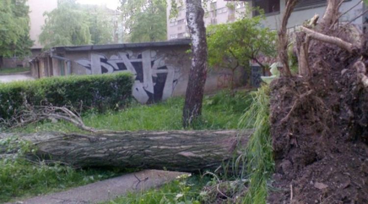 Snažan vjetar čupao stabla, nestajalo struje