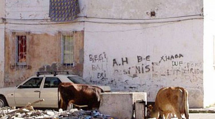 EULEKS istražuje i zločine u Albaniji
