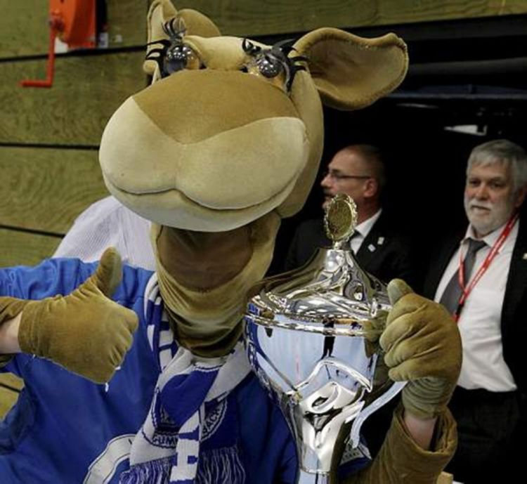 Hasanefendiću još jedan trofej