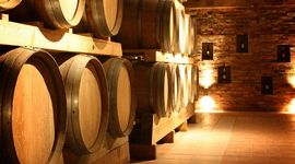 Više reda u vinarstvu i vinogradarstvu BiH