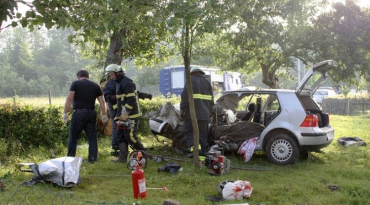 Šestoro mrtvih na bh. putevima