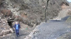 Traže pomoć u borbi protiv kradljivaca
