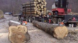 Sve manje nade za 1.900 radnika