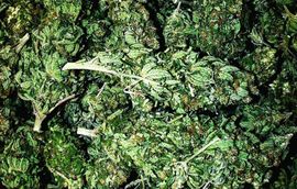 Crnogorac pao sa 12 kilograma skanka