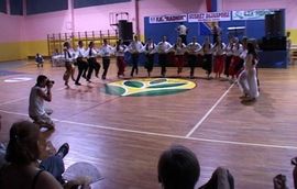U toku Susret dijaspore 2010