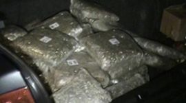 U mercedesu pet kilograma skanka 